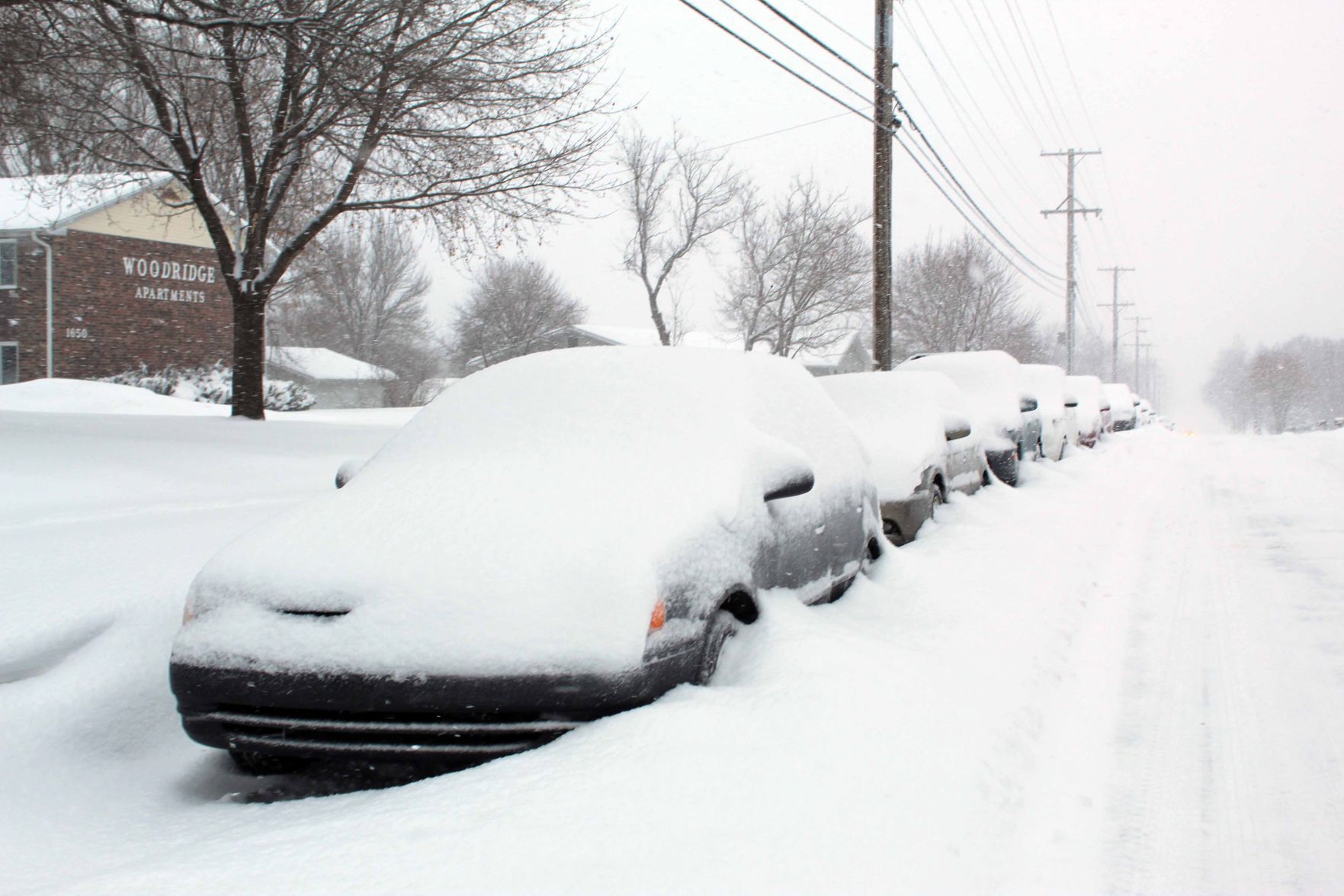 013119-reed-gallery-cold011